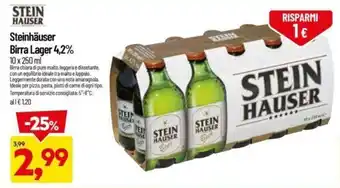 DPiù Stein Hauser Birra Lager 4,2% 10 x 250 ml offerta