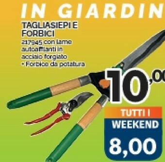 Orizzonte Forbici per potatura offerta
