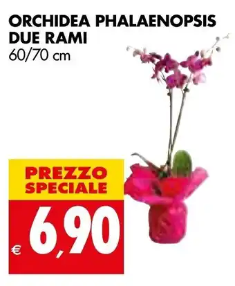 Tigros Orchidea Phalaenopsis Due Rami 60/70 cm offerta