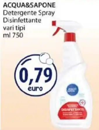 Acqua & Sapone Acqua & Sapone Detergente Spray Disinfettante vari tipi 750 ml offerta