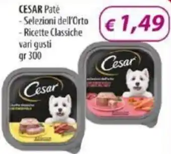 Acqua & Sapone Cesar Patè 300 gr offerta