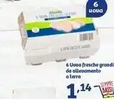 In'S Mercato Buongiorno Natura 6 Uova Fresche Grandi Da Allevamento A Terra offerta