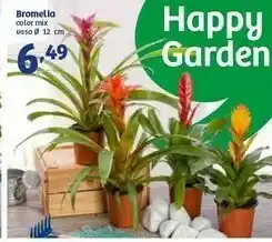 In'S Mercato Bromelia Vaso offerta