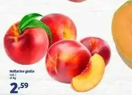 In's Nettarine Gialle