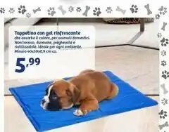 In'S Mercato Tappetino Con Gel Rifrescante offerta