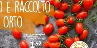 In'S Mercato In's Pomodoro Pixel offerta
