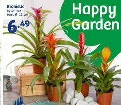 In'S Mercato Bromelia Vaso offerta