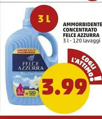 PENNY Felce Azzurra Ammorbidente Concetrato offerta