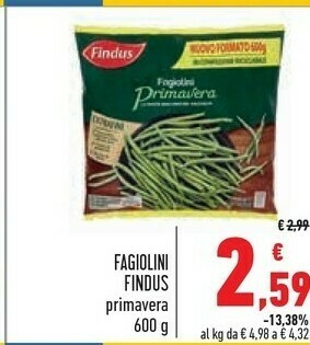 Conad Superstore Findus Surgelati offerta