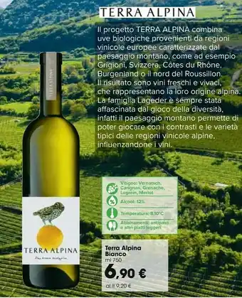 Carrefour Market Terra Alpina Bianco 750 Ml offerta
