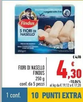 Conad City Findus Nasello offerta