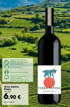 Carrefour Market Terra Alpina Rosso offerta