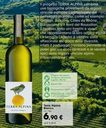 Carrefour Market Terra Alpina Bianco offerta