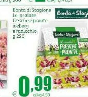 Elite Insalata offerta