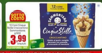 Elite Sammontana Gelato offerta