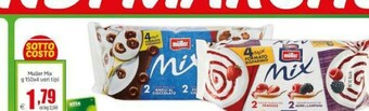 Elite Muller Yogurt offerta