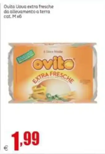 Ovito Uova extra fresche da allevamento a terra cat. M x6