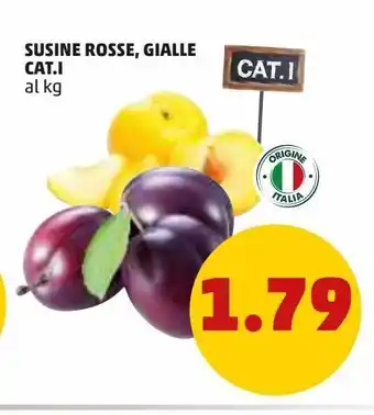 PENNY Susine rosse, gialle offerta