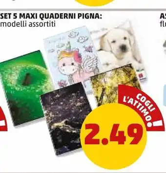 PENNY Set 5 maxi quaderni pigna: offerta