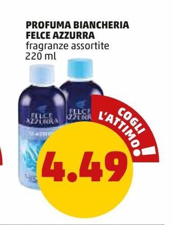 PENNY Profuma biancheria felce azzurra offerta