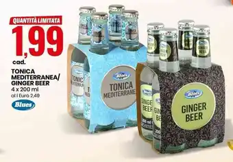 Eurospin Blues Tonica Mediterranea/ Ginger Beer 4 x 200 ml offerta