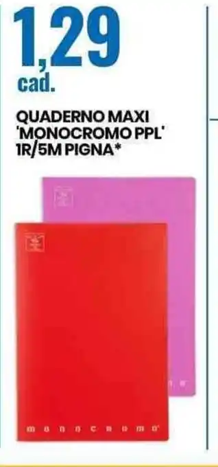 Eurospin Quaderno Maxi Monocromo PPl 1R/5M Pigna offerta