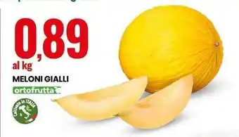 Eurospin Ortofrutta Meloni Gialli offerta