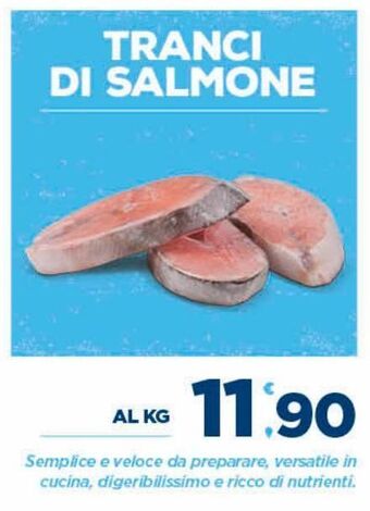 Deco Superfreddo Tranci di salmone offerta