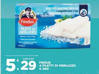 Deco Superfreddo 4 filetti di merluzzo findus offerta
