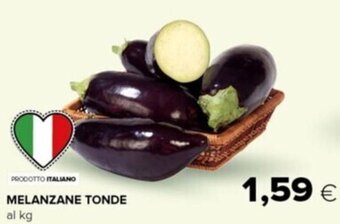 Tigre Melanzane Tonde offerta