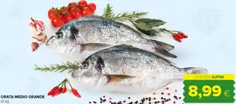 Tigre Orata Medio Grande offerta