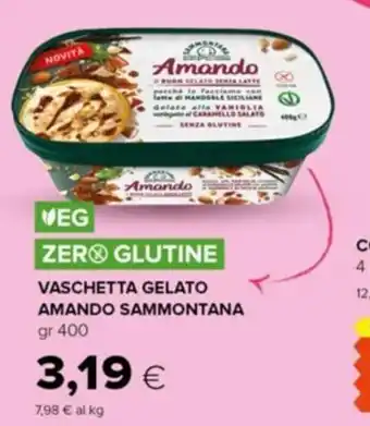 Tigre Sammontana Vaschetta Gelato Amando gr 400 offerta