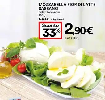 Coop Sassano Mozzarella Fior di Latte Palla o Bocconcini 250 g offerta