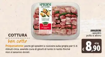 Deco Maxistore Amadori spiedini di pollo e alloro offerta