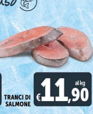 Deco Maxistore Tranci di salmone offerta