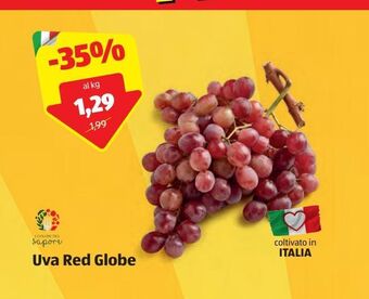 ALDI Uva red globe offerta