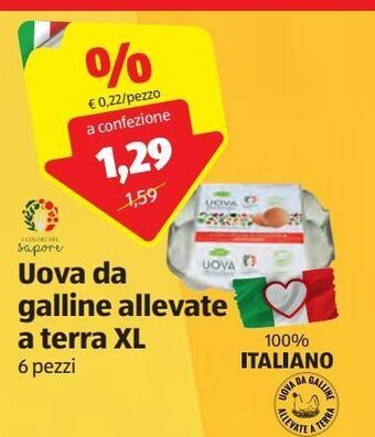 ALDI Uova da galline allevate a terra xl offerta