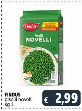 Deco Market Piselli novelli findus offerta