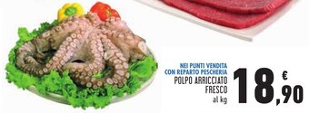 Conad Polpo Arricciato fresco offerta