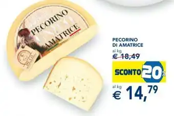Esselunga Pecorino di Amatrice offerta