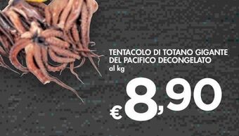 Bennet Tentacolo di totano gigante del pacifico decongelato al kg offerta