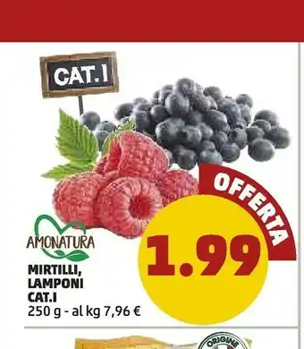 PENNY Amonatura Mirtilli offerta