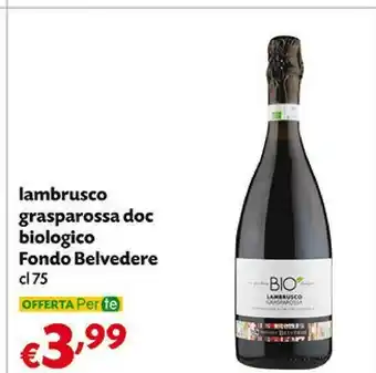 Fondo Belvedere Lambrusco Grasparossa DOC