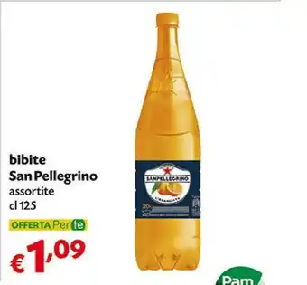 San Pellegrino San Pellegrino - Aranciata Amara 1250 G(ml)