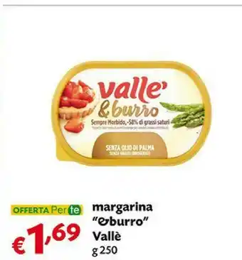 Pam Vallè Vallè - Margarina & Burro 250 G(ml) offerta