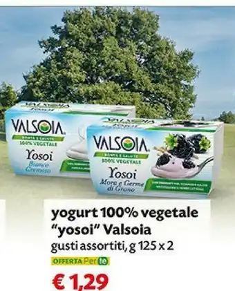 Pam Valsoia Valsoia - Yosoi Cocco 100% Vegetale 250 G(ml) offerta