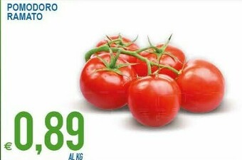MD Discount Pomodoro Ramato offerta