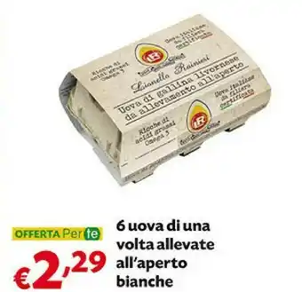 Pam Bianche 6 Uova Di Una Volta Allevate All'Aperto offerta