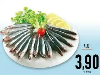 Conad Superstore Conad Alici offerta