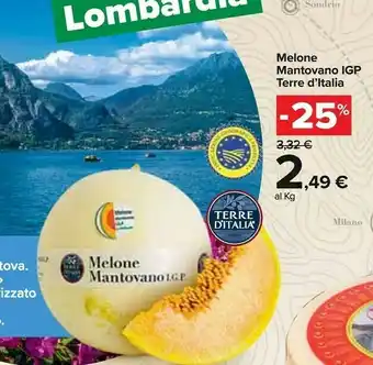 Carrefour Terre d'Italia Melone offerta